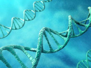 dna فنگر پرنٹ تکنیک سے کوئی مجرم شناخت سے بچ نہیں سکتا