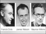 زینب کا مجرم گرفتار کیا سائنس کی مخالفت جاری رہے گی