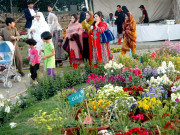 نرسریوں میں خوشنما اور رنگ برنگے پھولوں کی بہار