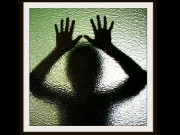 شہباز شریف قصور وار ہیں