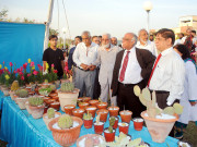 پھولوں کی افزائش میں کمی دیکھنے میں آرہی ہےڈاکٹر قیصر 