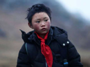 برفانی لڑکا