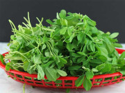 ’میتھی‘ موسم سرما کا من بھاتا کھاجا