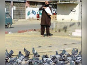 چورنگیوں پر کبوتروں کو دانہ ڈالنے کا رجحان بڑھنے لگا