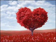 محبت سراب سے حقیقت کا سفر