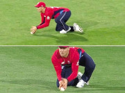 گلین میکسویل متنازع فیصلے سے صاف بچ نکلے