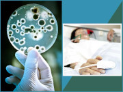 سُپربگس۔۔۔۔۔ طاقت وَر اینٹی بایوٹکس بھی بے اثر