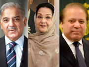 شریف خاندان کی ویلتھ ٹیکس ادائیگی سے متعلق درخواستیں مسترد