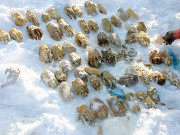 سائبیریا میں ایک تھیلے سے 54 انسانی ہاتھ برآمد