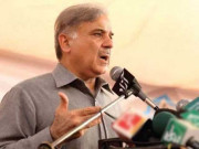 زرداری اور نیازی کے گٹھ جوڑ کو دفن کردیں گے شہباز شریف