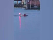 نیویارک دریا میں ہیلی کاپٹر گر کر تباہ ہونے سے 2 افراد ہلاک