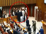 وزیراعظم کے صاحبزادے اورپی ٹی آئی ایم این اے حامد الحق میں لڑائی