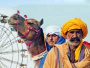 چـــولـسـتـانــی مــیلـہ  روہی کے ثقافتی رنگوں کی قوس قزح بکھیرنے والے چین پیر میلے کی روداد 