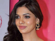 پاکستانی فلم کو دنیا میں مثال بنانے کا چیلنج درپیش ہے سارہ لورین