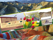 سنگلاخ پہاڑوں پہ کھلتے پُھول