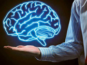 دماغ کی محافظ غذائیں