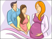 کرائے کی کوکھ ایک حل