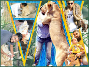 کتنے پیار سے’’خطرہ‘‘ پالا