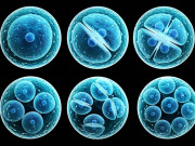 دماغی نقصان کو ٹھیک کرنے والا اسٹیم سیل دریافت