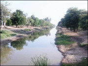 وہ مفلسی ہے تیمم کو گھر میں خاک نہیں