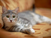 تین باتیں جو زندگی بھر آپ کے کام آئیں گی