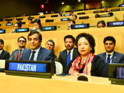 پاکستان اقوام متحدہ کے 2 اہم اداروں کا رکن منتخب
