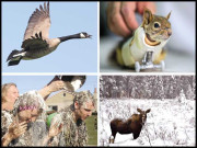 یہ انوکھی دنیا