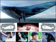 بلیو وہیل سے مرنے والوں کو اسی گیم کے ذریعے عذاب دیا جائے گا مصری عالم