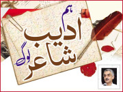 ہم ادیب شاعر لوگ