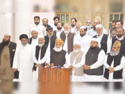 متحدہ مجلس عمل کا ملک گیر جلسوں کا اعلان