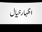 پی پی کو مشکلات کا سامنا 