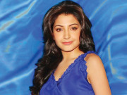 منظم زندگی گزارنے کی عادی ہوں انوشکا شرما