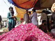 شب برأت پر گلاب کے پھول اور پتیاں مہنگی کردی گئیں