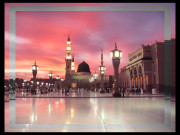 سیرت النبیؐ کی روشنی میں توقیر انسانیت