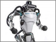 گھنے جنگل میں آپ کا پیچھا کرنے والا روبوٹ