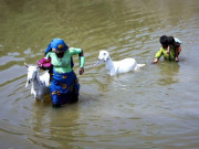 عوام کی خدمت ہماری اولین ذمے داری ہےڈاکٹر صغیر 