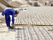 سپریم کورٹ کے حکم پر سیالکوٹ سے بازیاب 50 بھٹہ مزدور آزاد