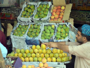 آم کی پیداوار میں کمی برآمدات بڑھنے کی امید