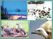 یہ انوکھی دنیا