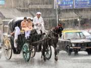 موسلا دھار بارش سڑکیں تالاب اور انڈر پاس سوئمنگ پول بن گئے 