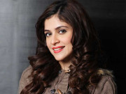 سوشل میڈیا ایک بڑی حقیقت بن چکا ہے فائدہ بھی نقصان بھی ہے ایرج فاطمہ