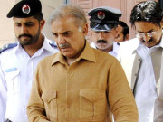 کمپنیز کرپشن کیس چیف جسٹس کا شہباز شریف پر شدید برہمی کا اظہار