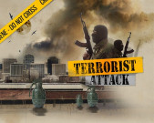  دہشتگردی کیخلاف جنگ 10سال میں ساڑھے 28 ارب ڈالرملے 