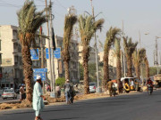 سوک سینٹر سے صفورا چورنگی تک کھجور کے 300 درخت سوکھ گئے