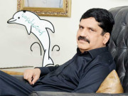 پورے ملک سے انتخابات میں حصہ لیں گے انیس قائم خانی