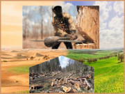 خطرے کی گھنٹی کی بازگشت سنو۔۔۔ آدھا پاکستان ڈیزرٹیفیکیشن کا شکار