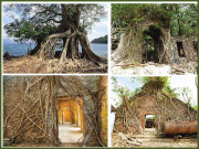 روز آئی لینڈ  ’’کالا پانی‘‘ کے آسیبی کھنڈرات