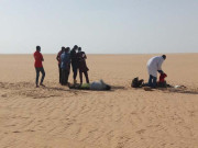 الجزائر نے 13 ہزار پناہ گزینوں کو جبری طور پر صحارا میں چھوڑ دیا