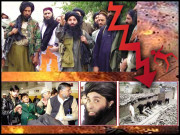 تحریک طالبان پاکستان کا زوال