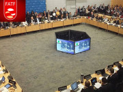 پاکستان کو گرے لسٹ میں شامل کرنا غلط اقدام